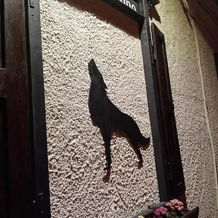 Il Vecchio Lupo 3*
