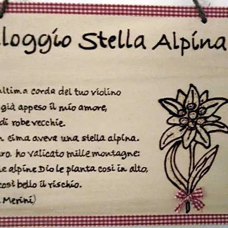 Il Vecchio Lupo 3*
